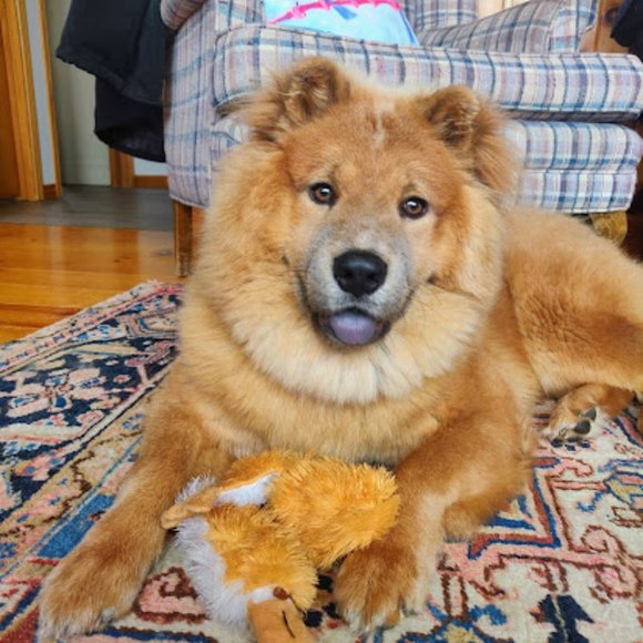 Meet your Posher, Celest - Picture 6 of 14